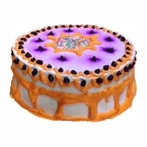 Multi colour cake 2